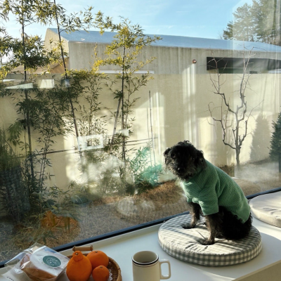 도도독펜션 대표후기 이미지 4