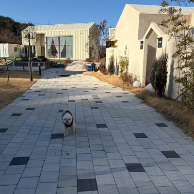 도도독펜션 대표후기 이미지 3