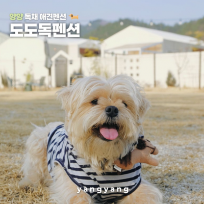 도도독펜션 대표후기 이미지 5